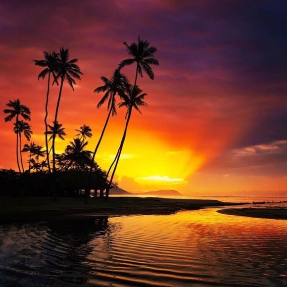 Meet your Posher, Jo - Picture 2 of 7